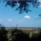 0 YELLOW HOUSE PL, Charleston, SC 29492 ID:1090889