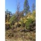 17530 Scopar Rd, Grass Valley, CA 95949 ID:1147991