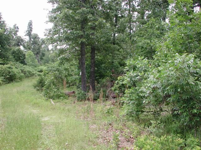 Lot #5 Big Oak Estates, Cherokee Village, AR 72529