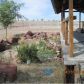 7648 N Sky View Dr, Lake Havasu City, AZ 86404 ID:1436094