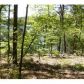 13/1 Saldana25 Saldana Way, Hot Springs Village, AR 71909 ID:1352951