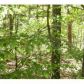 13/1 Saldana25 Saldana Way, Hot Springs Village, AR 71909 ID:1352953