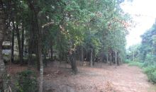 0 Grand Avenue Fairhope, AL 36532