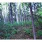 nhn Hillside Drive, Lot 1, Fairbanks, AK 99709 ID:1506911