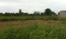 169 E. COLLINS DR. Buras, LA 70041