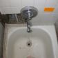 7259 N Oriole Ave, Chicago, IL 60631 ID:338426