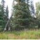 L8-9 N Spur Highway Mi 15, Kenai, AK 99611 ID:1078444