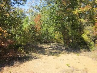 00 Grand Trunk, Conway, AR 72032