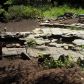 1930 E Moody Ridge Rd, Alta, CA 95701 ID:2098359