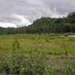 L96 Cache Creek Residential, Nikolski, AK 99638 ID:1193354