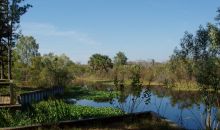 1424 Stone Trail Deltona, FL 32725