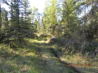 L151 Cloud Berry Loop, Nikiski, AK 99635