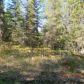 L151 Cloud Berry Loop, Nikiski, AK 99635 ID:1382274