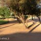 1249 S SANDSTONE Street, Gilbert, AZ 85296 ID:1456189