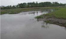3120 PIGNATELLI CRESCENT Mount Pleasant, SC 29466