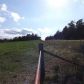 000 Fallen Ash Road, Flippin, AR 72634 ID:1163315