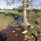 000 Fallen Ash Road, Flippin, AR 72634 ID:1163316