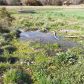 000 Fallen Ash Road, Flippin, AR 72634 ID:1163317