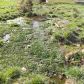 000 Fallen Ash Road, Flippin, AR 72634 ID:1163318