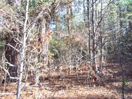 Ouachita 347-348, Camden, AR 71701