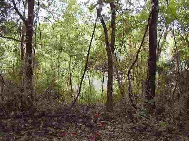 Lot 28 Scarlet Oaks Lane Ln, Cotter, AR 72626