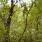 Lot 28 Scarlet Oaks Lane Ln, Cotter, AR 72626 ID:1166994