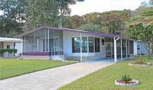 413 S. Timber Trail Wildwood, FL 34785