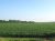 N 230Th Street Waterloo, NE 68069