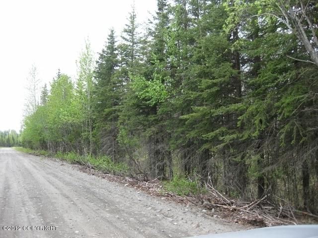 18165 Loveall Loop, Clam Gulch, AK 99568