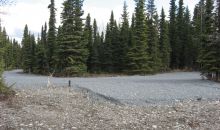 L200 Poacher's Cove Soldotna, AK 99669