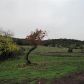 4721 Green Valley Ln, Fairfield, CA 94534 ID:1874752
