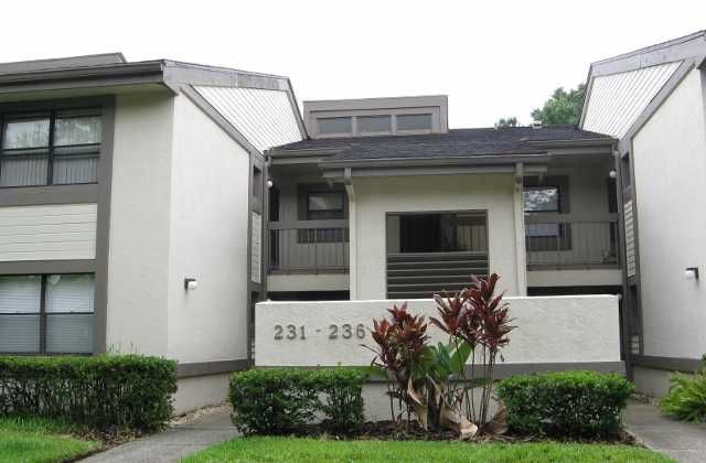 234 Woodlake Wynde, Oldsmar, FL 34677