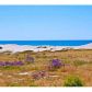 30732 Broad Beach Ln, Malibu, CA 90265 ID:1930325