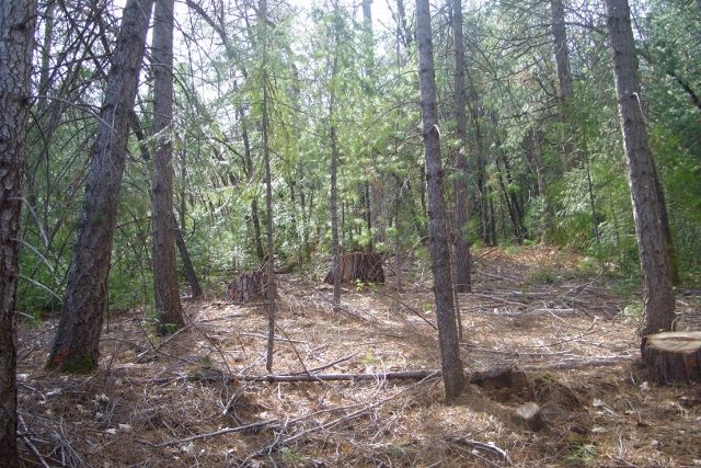 13610 Axle Court, Grass Valley, CA 95945