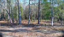 3 COUNTY LINE RD Ravenel, SC 29470