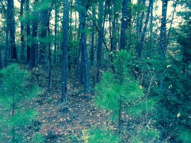 Lots 15 & 16 Doubloon Circle, Hot Springs National Park, AR 71913