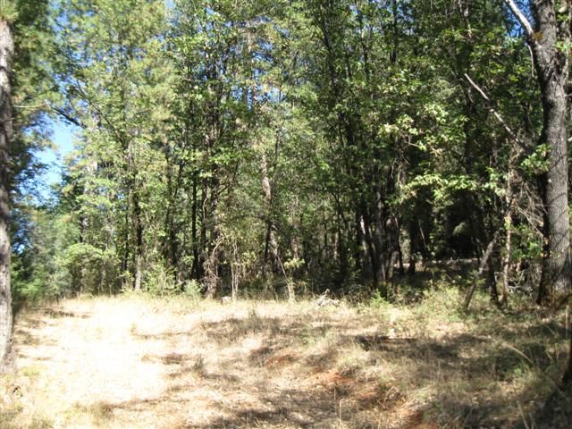 15735 You Win Court, Grass Valley, CA 95945
