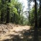15735 You Win Court, Grass Valley, CA 95945 ID:1137318