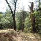 15735 You Win Court, Grass Valley, CA 95945 ID:1137320