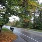 1011 N South Long Lake Rd, Traverse City, MI 49684 ID:1629853