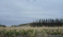 L11 B4 E Tributary Avenue Palmer, AK 99645