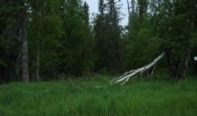 7701 E Downstream Drive Palmer, AK 99645