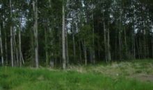 7603 E Downstream Drive Palmer, AK 99645