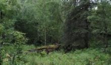 9355 E Douglas Street Palmer, AK 99645