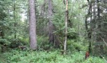 9405 E Douglas Street Palmer, AK 99645