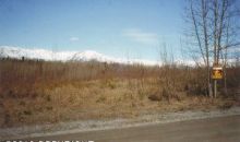 8815 E Kilkenny Drive Palmer, AK 99645