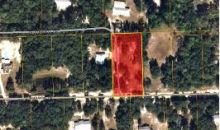 132 Cinnamon Dr Interlachen, FL 32148