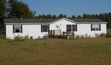 1976 Dollar Ln Adrian, GA 31002