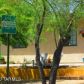 2201 E 15th, Tucson, AZ 85719 ID:1653023