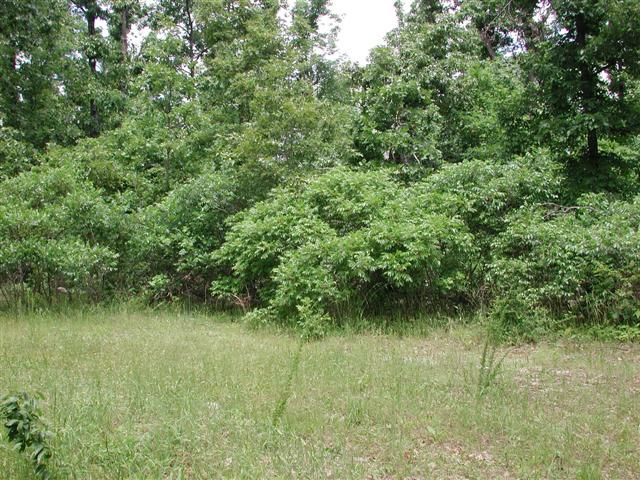 Lot #7, Big Oak Estates, Cherokee Village, AR 72529